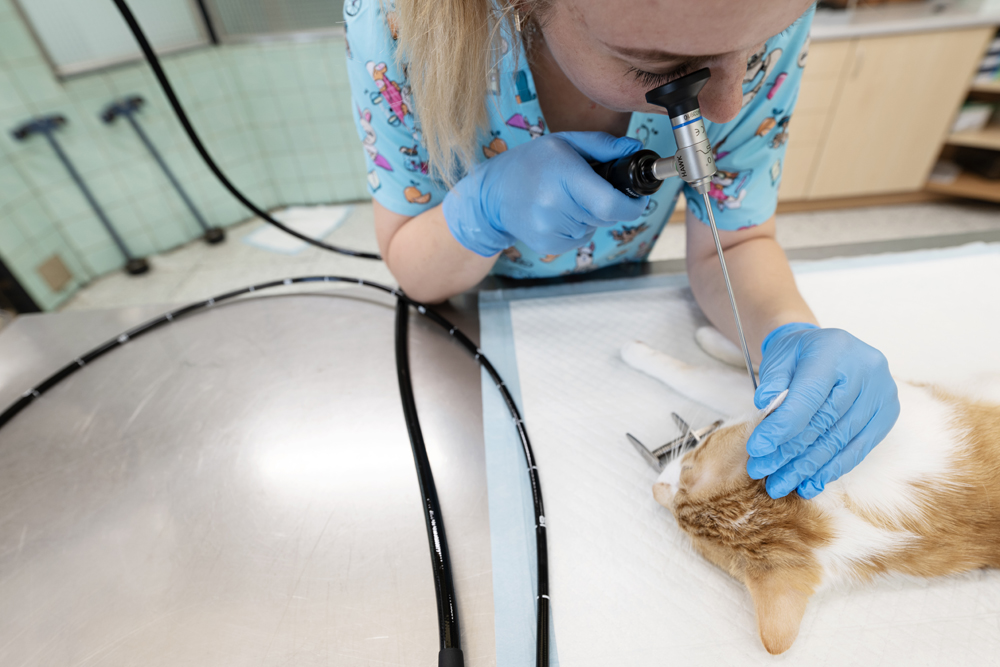 OPST_Zvýšení kvality nabízených služeb_Ostrava (10)