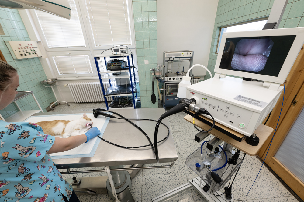 OPST_Zvýšení kvality nabízených služeb_Ostrava (4)